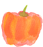 かぼちゃ