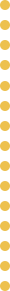 黄色丸縦線